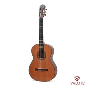 Guitar Classic VALOTE VC-301F